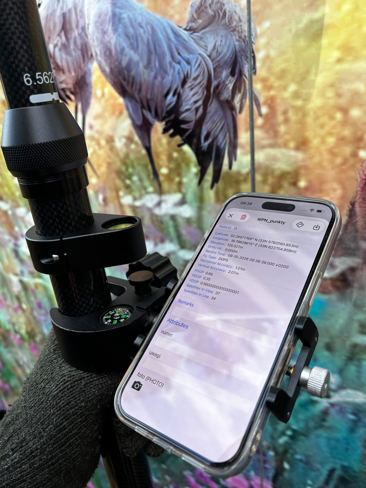 Telefon zamocowany na tyczce pomiarowej wyświetla w aplikacji „WPN_punkty” współrzędne zarejestrowanego punktu i dokładność pomiaru; w tle fragment ekspozycji przyrodniczej z wizerunkiem żurawi.