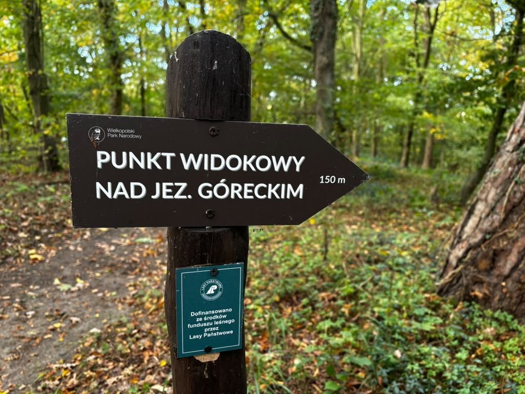 Drewniany drogowskaz Wielkopolskiego Parku Narodowego z napisem „Punkt widokowy nad jez. Góreckim 150 m” przy leśnej ścieżce.